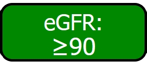 Njurfunktion, knapp visar grön varning med beräknat eGFR, 90