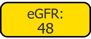 Njurfunktion, knapp visar gul varning med beräknat eGFR, 48