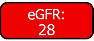 Njurfunktion, knapp visar röd varning med beräknat eGFR, 28