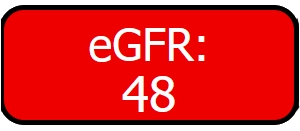 Njurfunktion, knapp visar röd varning med beräknat eGFR, 48